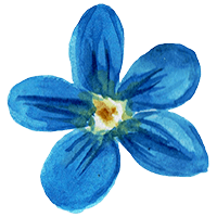 explore your inner self