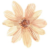 find your true north