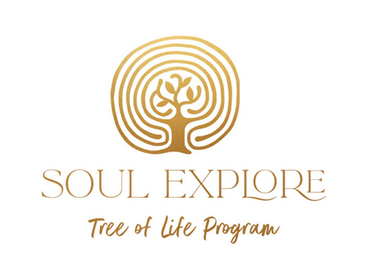 soul explore tree of life program