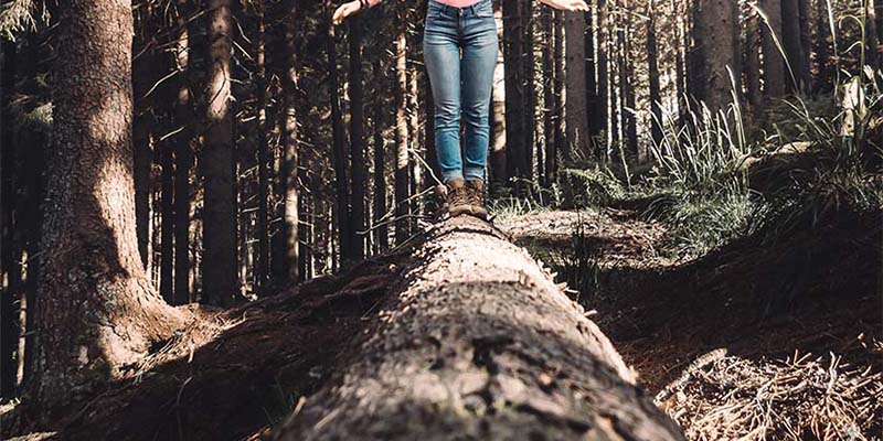 the soul centred four quadrants