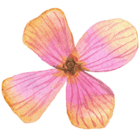 unapologetically yourself