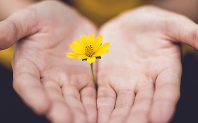 Nurturing Healthy Relationships:  6 Vital Steps to Establishing Boundaries